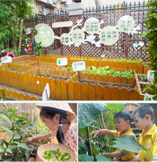 江汉区北湖幼儿园抓牢关键阶段头号玩家龙八国际网址武汉市(图1)