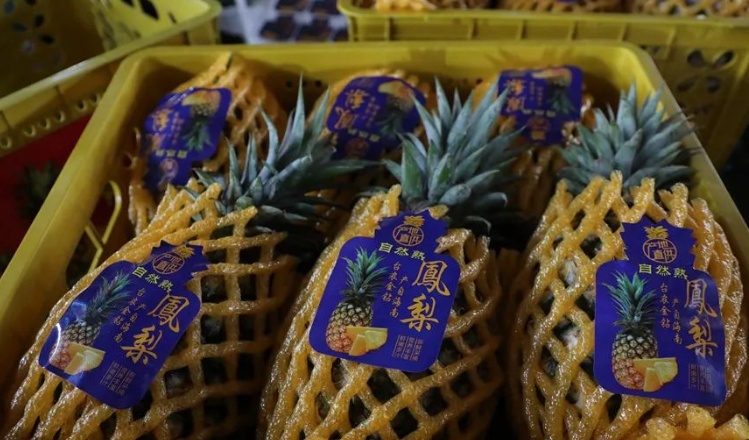 萝市场热情高涨 新品种助力产业升级龙8游戏国际登录海南鲜品｜海南菠(图2)