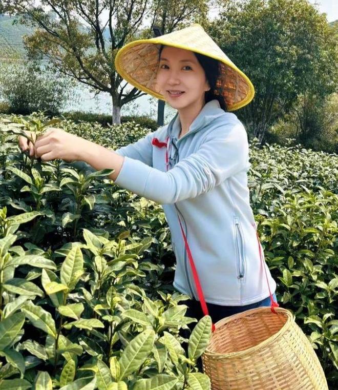 凉逛地摊生没生过孩子差距好大陈好宋茜云南被偶遇两人穿着清(图9)